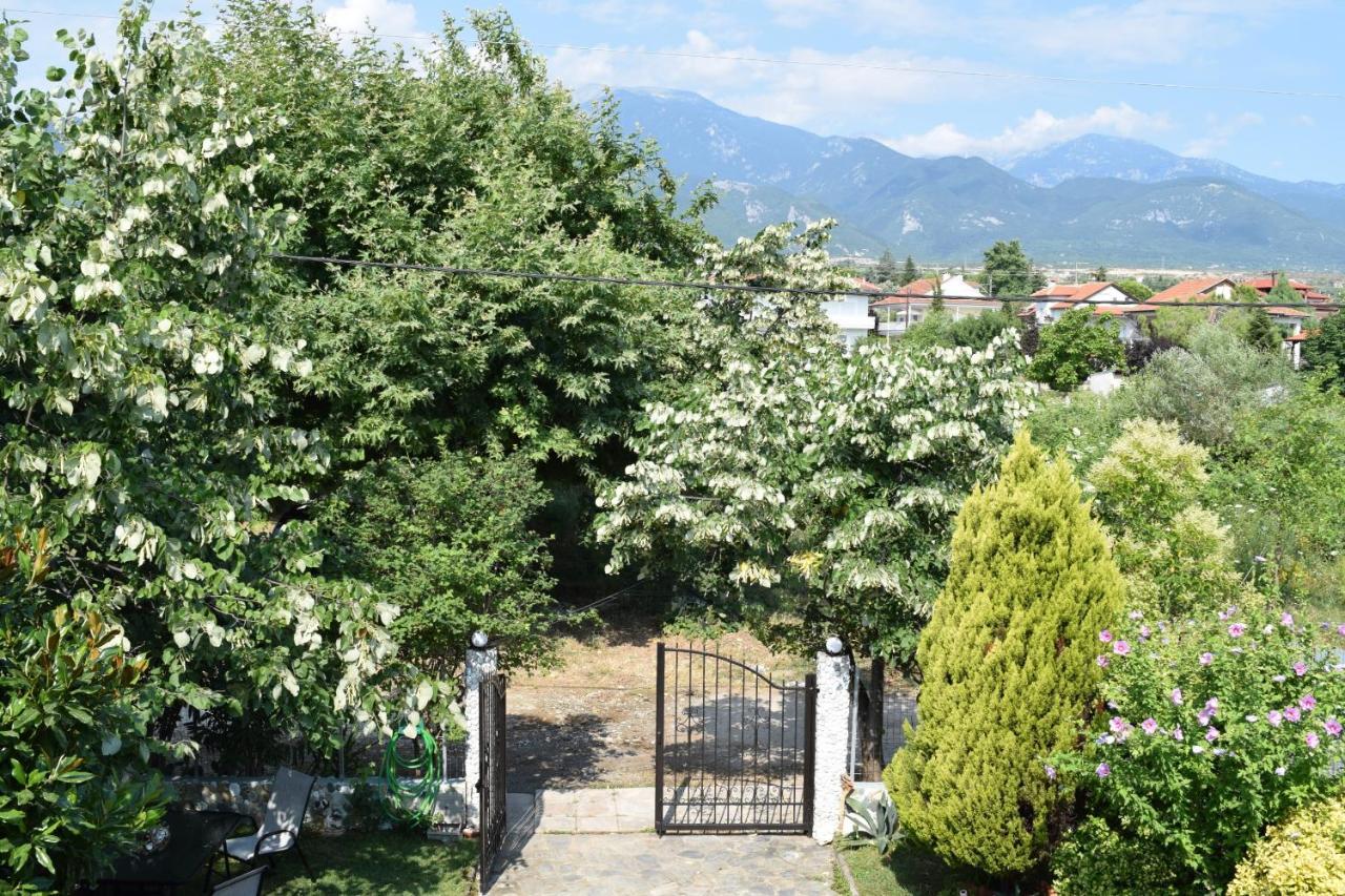 Garden'S Villa Лептокария Экстерьер фото